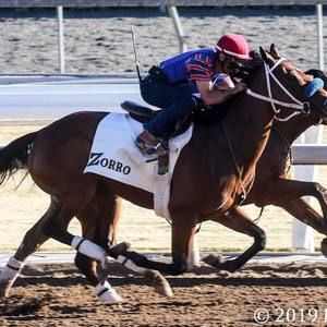 Meet your Posher, Agapito